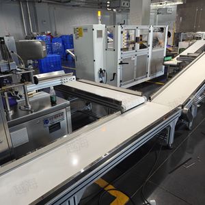 食品皮带流水线