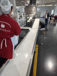 食品皮带输送线